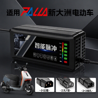 适配【新大洲】电动车充电器