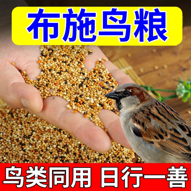 布施鸟食喂鸟鸟粮营养五谷黍子杂粮小米阳台野外救助麻雀喜鹊鸟食