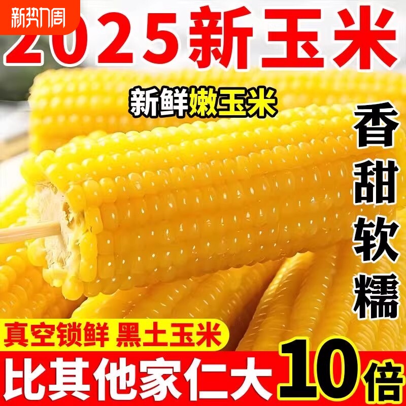 东北黄糯玉米当季农家甜黏糯玉米棒苞米软糯新鲜香代餐真空独立装