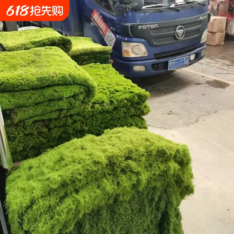 仿真草坪草皮diy微景观假苔藓假青苔绿植造景花盆铺面假草羊绒藓