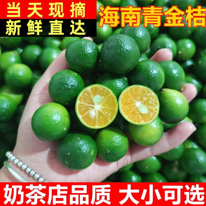 海南特产青金桔柠檬小青柠新鲜水果火锅蘸料调百香果青桔现摘清香