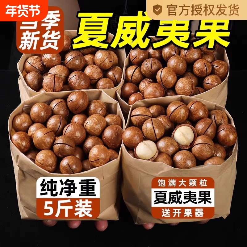 新货夏威夷果坚果批发罐装年货零食500g整箱干果散装炒货果仁产地