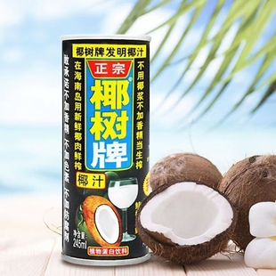 植物 椰子罐装 正宗海南椰树椰汁245ml正品 饮料整箱生榨鲜榨盒装