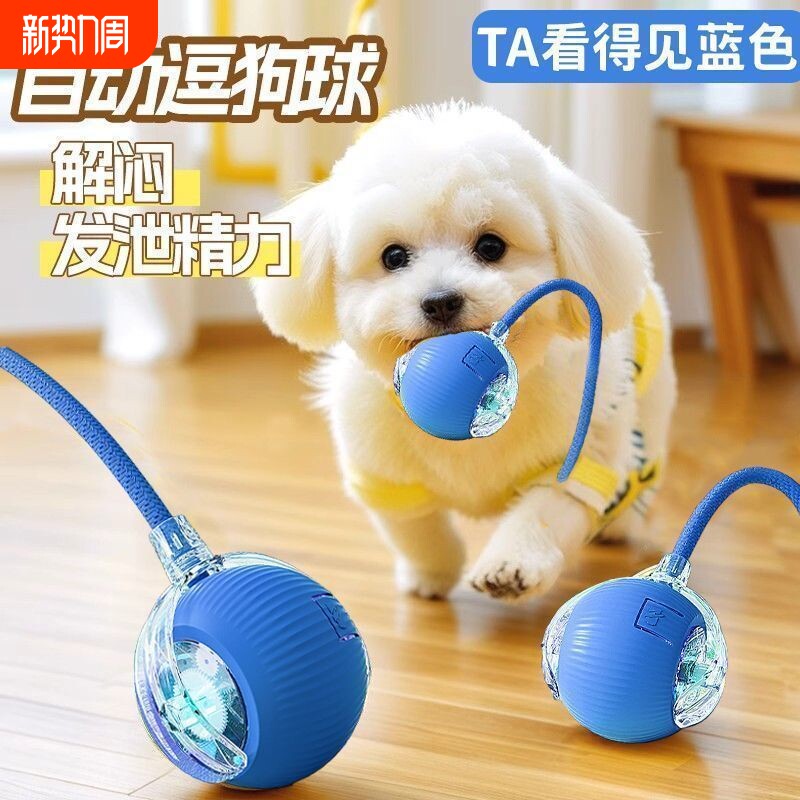 猫咪玩具自动逗猫球自嗨解闷智能逗猫棒专治猫咪半夜跑酷狗狗拆家