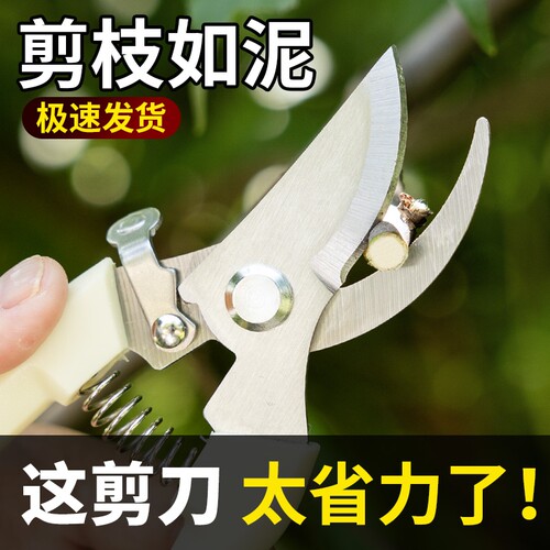 不锈钢便携园艺修枝剪刀园艺工具