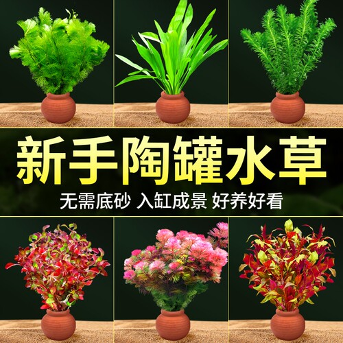 水草鱼缸增氧套餐|超1000人收藏