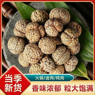 广西正宗草寇草蔻官方旗舰店香料仁草豆蔻老蔻草扣调料炖肉卤肉