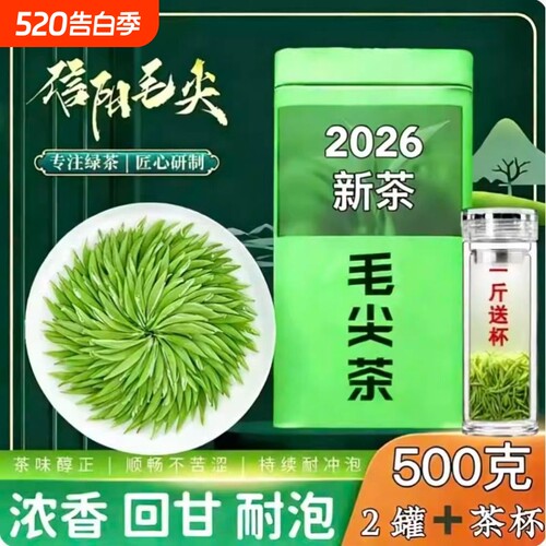 信阳2026新茶茶叶正宗明前特级嫩芽尖绿茶浓香型毛尖罐装春茶炒青