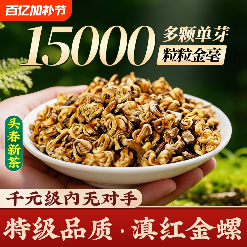 2026年新茶滇红黄金螺茶叶云南凤庆古树红茶正宗特级蜜香浓滇红茶