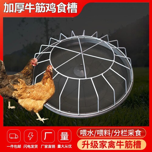 不锈钢特厚鸡食槽|千人回购