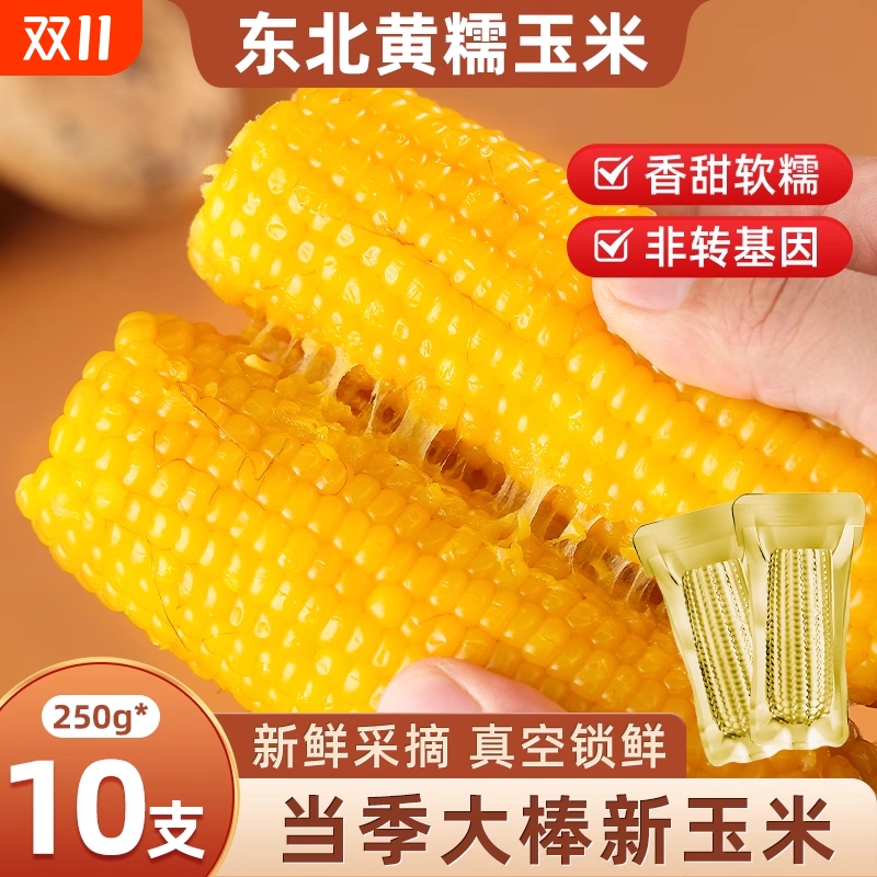 东北黏玉米棒真空包装早餐新鲜甜粘黏黄糯黑龙江真空装代餐当季