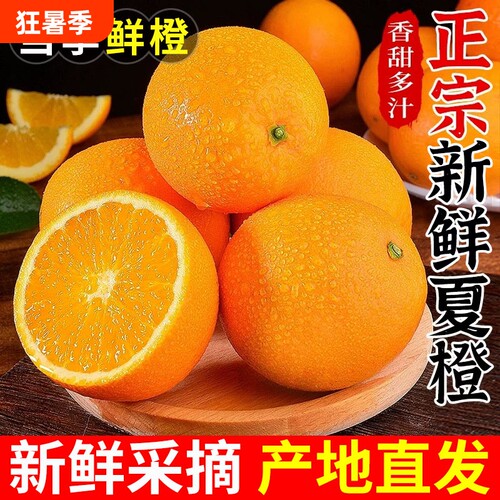 夏橙脐橙当季新鲜橙子水果手剥秭归应季甜橙整箱包邮大果上门送货
