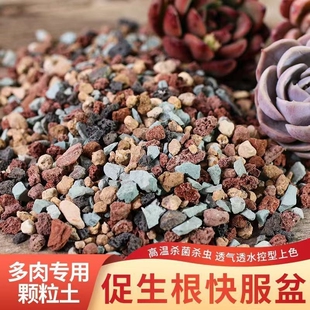 多肉专用颗粒土纯颗粒土多肉土营养土彩虹石养花小石子通用型肉肉