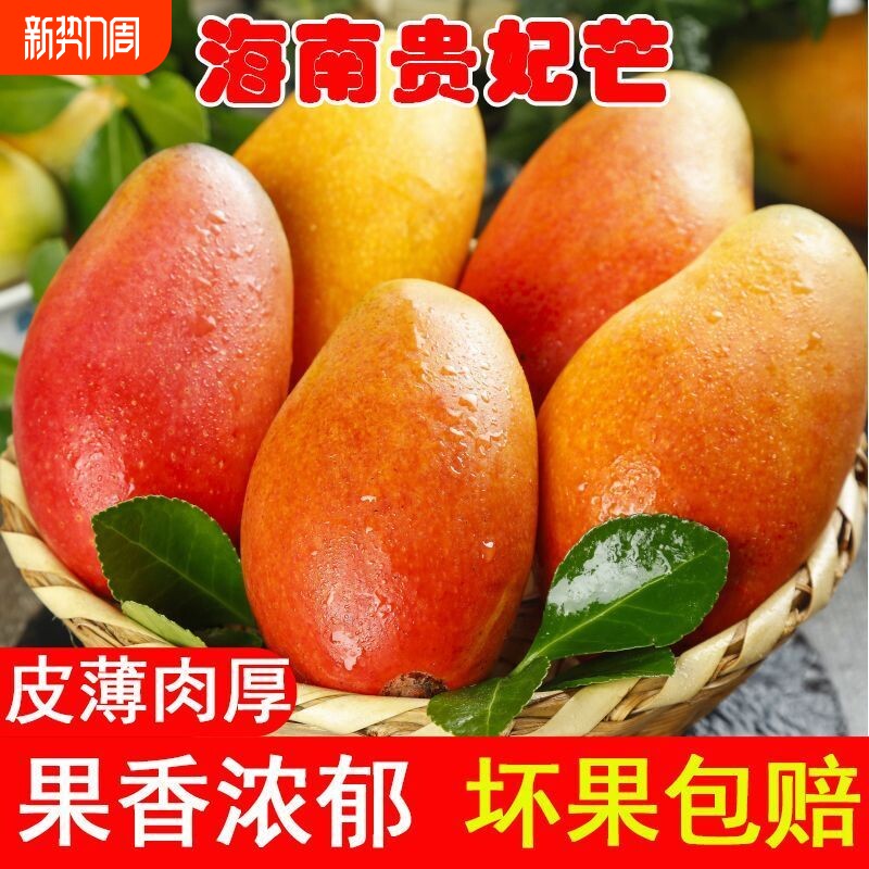 正宗海南贵妃芒新鲜热带水果特产当季整箱树上熟现摘三亚芒果包邮
