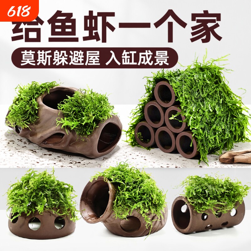 紫砂虾屋躲避屋水草植物鱼缸造景莫斯装饰水榕懒人真草鱼虾水质