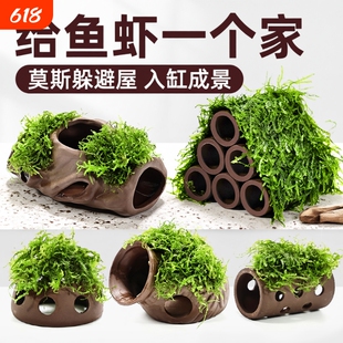 紫砂虾屋躲避屋水草植物鱼缸造景莫斯装饰水榕懒人真草鱼虾水质