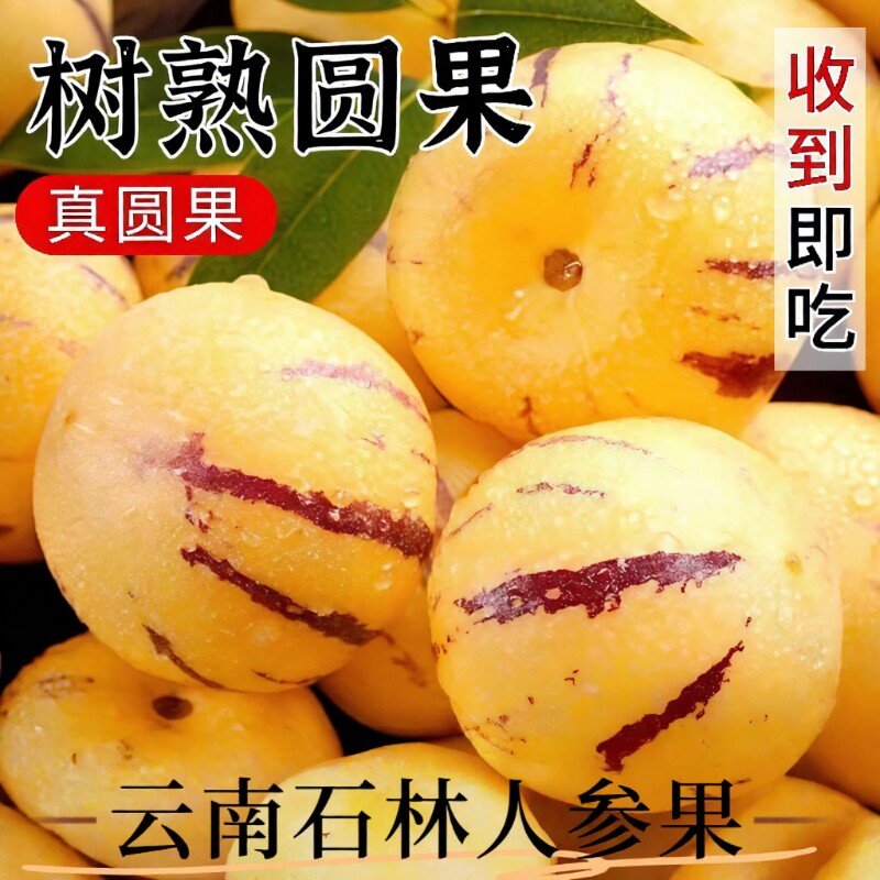 云南石林人参果新鲜当季水果应季整箱七彩果树上熟圆果包邮大果