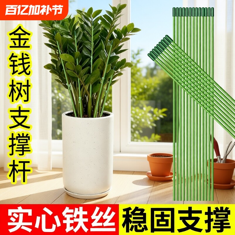金钱树支撑杆花盆支架杆花卉植物园艺花架爬藤固定杆造型室内绿植