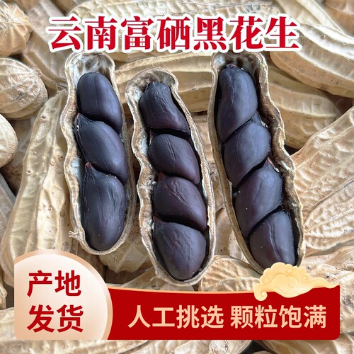 富硒黑花生带壳小粒原味黑花生味甜黑皮花生米500g黑花生云南特产