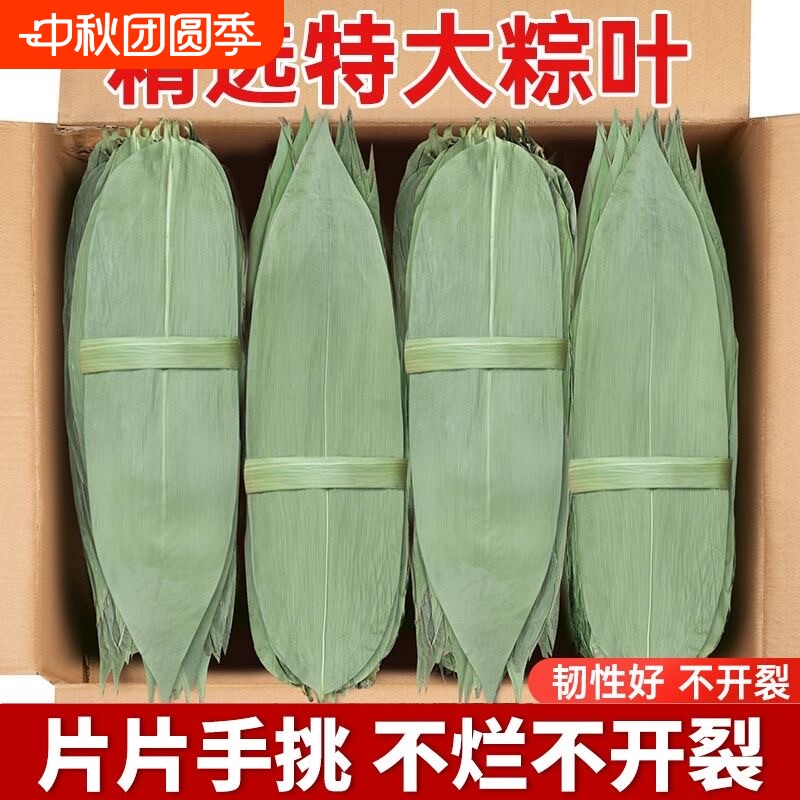 干粽叶特大号粽子叶新鲜麻竹叶商家用箬叶包粽子材料送棕绳图片