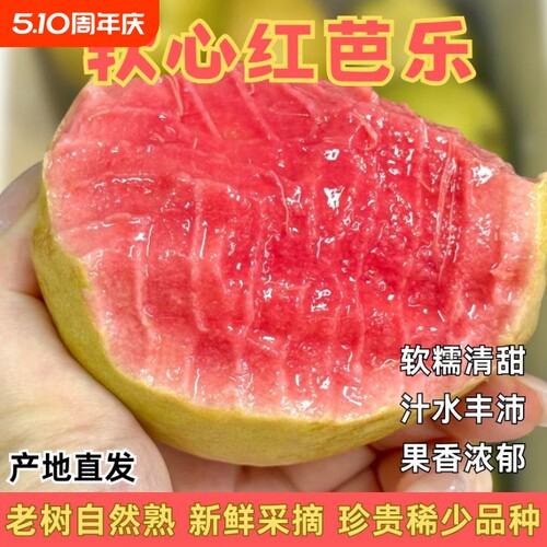 福建双拼软心番石榴红心白心芭乐
