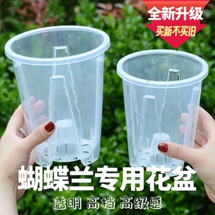 蝴蝶兰专用花盆适合轻奢高级感高档透明塑料高透空气柱阳台带托盘