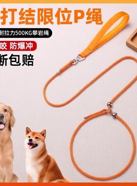 【全网爆款】新款防爆冲升级狗绳