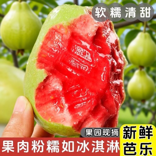 福建芭乐红心双拼软糯奶油芭乐低糖当季现摘番石榴水果新鲜大果