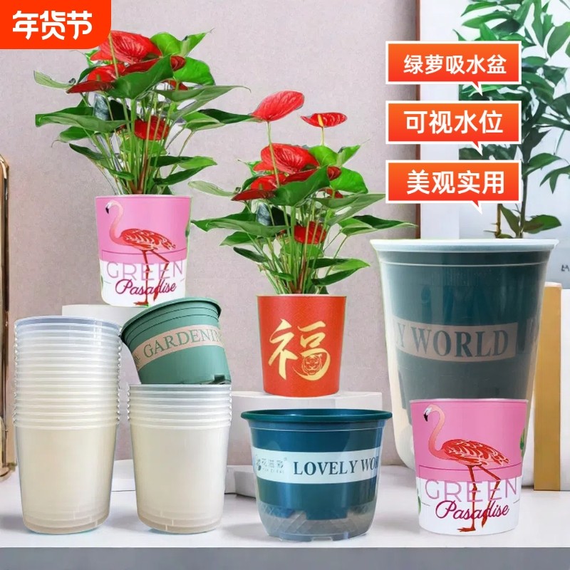 花盆吸水盆自动透明套盆懒人储水盆大号水培塑料专用绿萝双层阳台