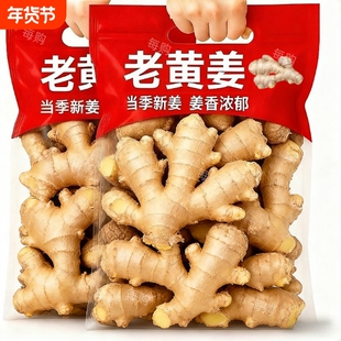 【云南老姜】新鲜现挖生姜香辣老姜农家月子姜农家种植老母姜家用