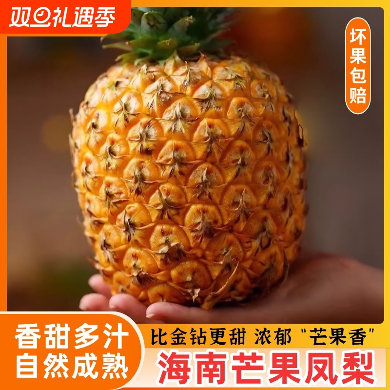 海南芒果凤梨台农23号新鲜凤梨