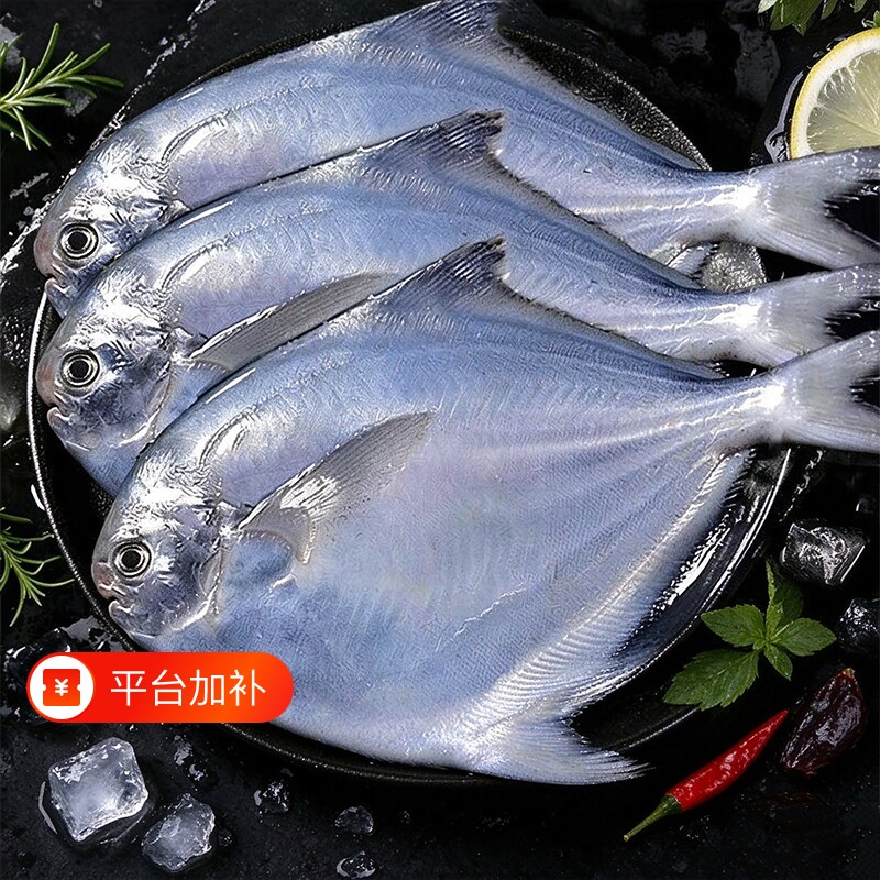 鲜活速冻海捕小银鲳鱼冷冻平鱼白鲳鱼海鱼香煎红烧海鲜食材鱼肉