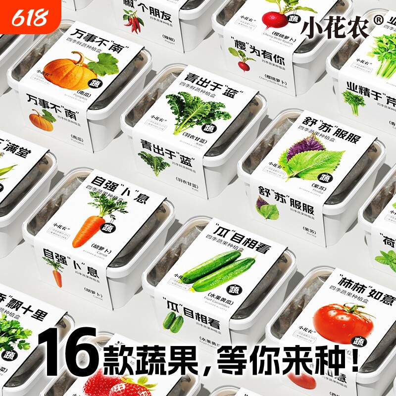 小花农四季蔬果情绪种植盒西红柿学生幼儿园机构推荐草莓南瓜水果
