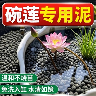碗莲泥专用泥水草泥不浑水睡莲铜钱草鱼缸水族造景荷塘泥室内庭院