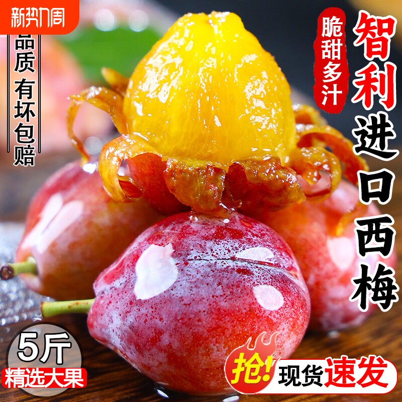 智利进口新鲜西梅鲜果5斤正宗蓝蜜法兰西孕妇水果当季整箱甜李子