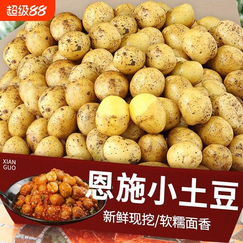 黄心小土豆恩施农家马铃薯