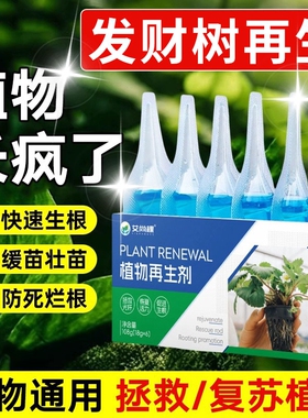 发财树专用肥营养液植物再生剂通用型绿植物家室内盆栽水培黄枯叶