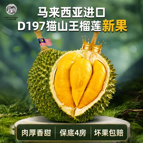 彭亨州马来西亚猫山王榴莲d197