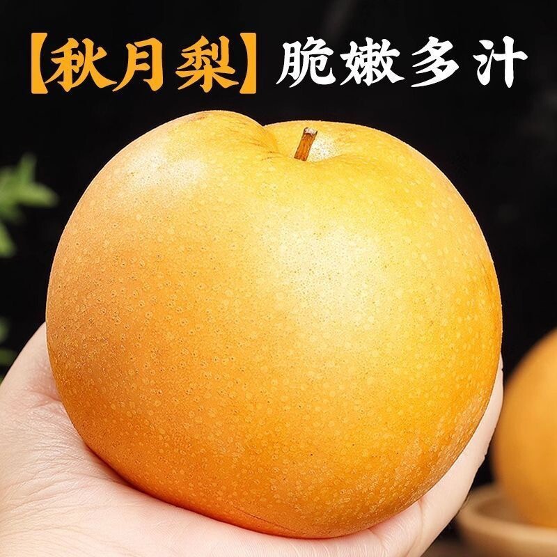 正宗山东秋月梨脆甜多汁新鲜当季梨子礼盒应季孕妇水果现发整箱包