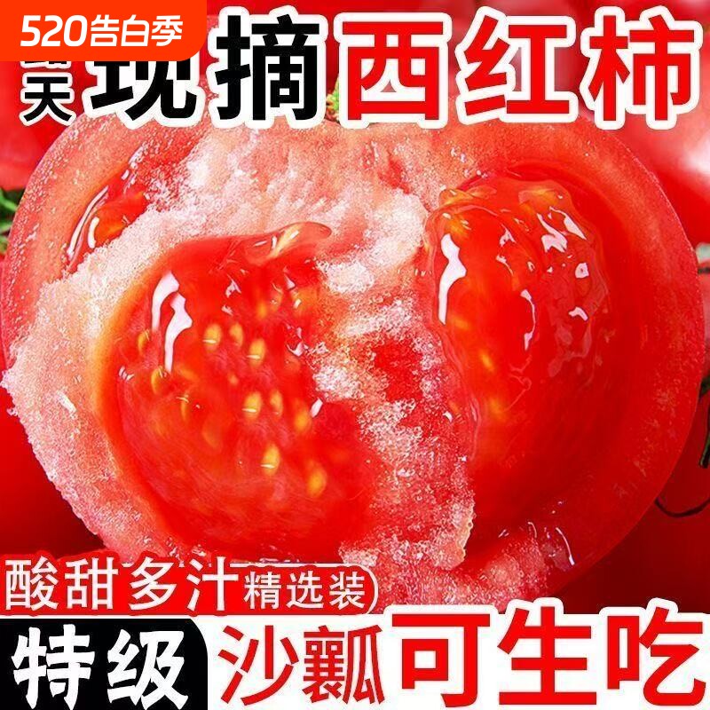 山西沙瓤西红柿现摘新鲜番茄老品种可生吃自然熟番茄水果蔬菜整箱