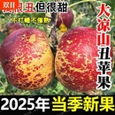 四川红富士 包邮 苹果水果丑苹果新鲜盐源大凉山冰糖心孕妇当季 整箱