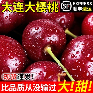 大连大樱桃美早车厘子2J3J4J5J当季新鲜水果顺丰包邮现摘现发