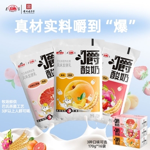 遵义爆珠燕麦嚼酸奶170g*16袋黄桃火龙果白桃多种水果奶草莓西柚