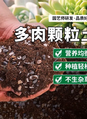 多肉颗粒土专用营养土植物泥炭种植土壤肉肉叶插小苗老桩颗粒花土