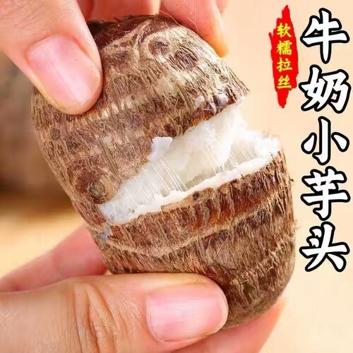 正宗云南牛奶小芋头新鲜现挖农家自种小芋艿毛芋头仔软糯香滑拉丝