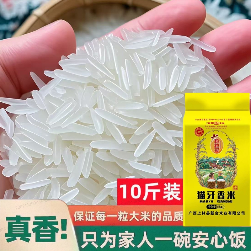 正宗新鲜今年新米一级猫牙香米广西新米煲仔饭软糯长粒原生态大米