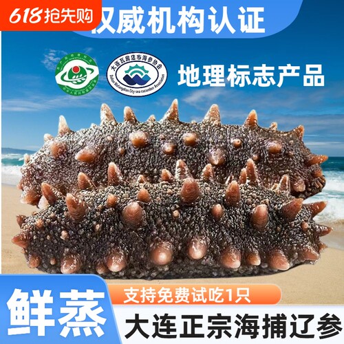 刺参大连海参亿鲜笙即食大连