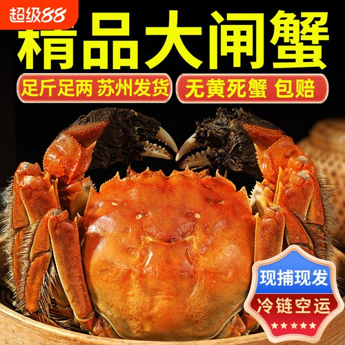 【活蟹现货】大闸蟹鲜活特大螃蟹全母河蟹海鲜水产礼盒苏州发货
