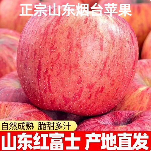 山东红富士新果烟台苹果当季新鲜水果现摘产地直发10斤脆甜糖心