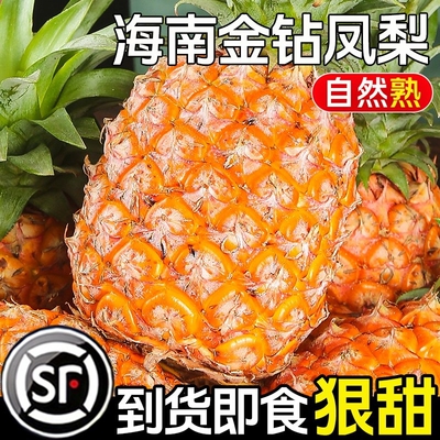 【9斤金钻凤梨钜惠】鲜甜多汁
